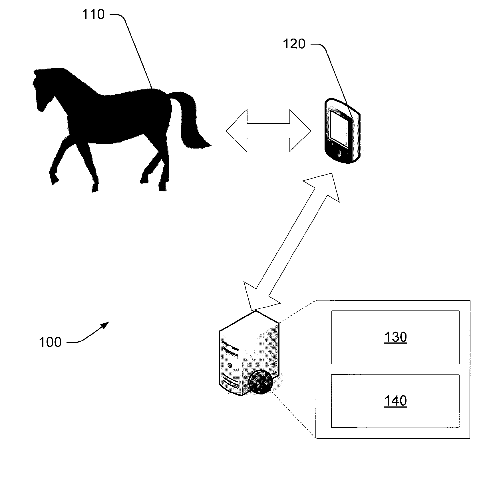 Method and apparatus for physiological assessment in mammals