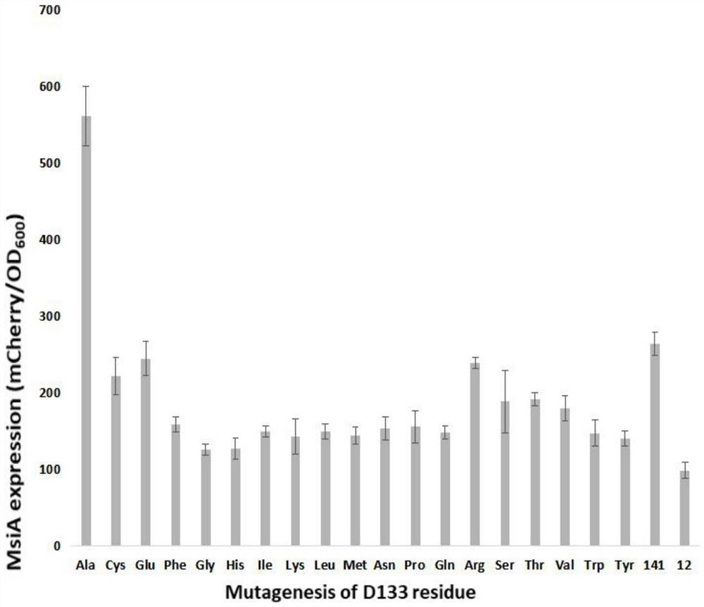 Rhizobium tianshanense transcription regulation protein MsiR mutant protein and application thereof in canavanine biosensor