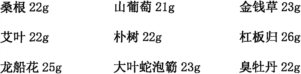 Gynecological inflammation treatment traditional Chinese medicine fumigation-soaking agent and preparation method thereof