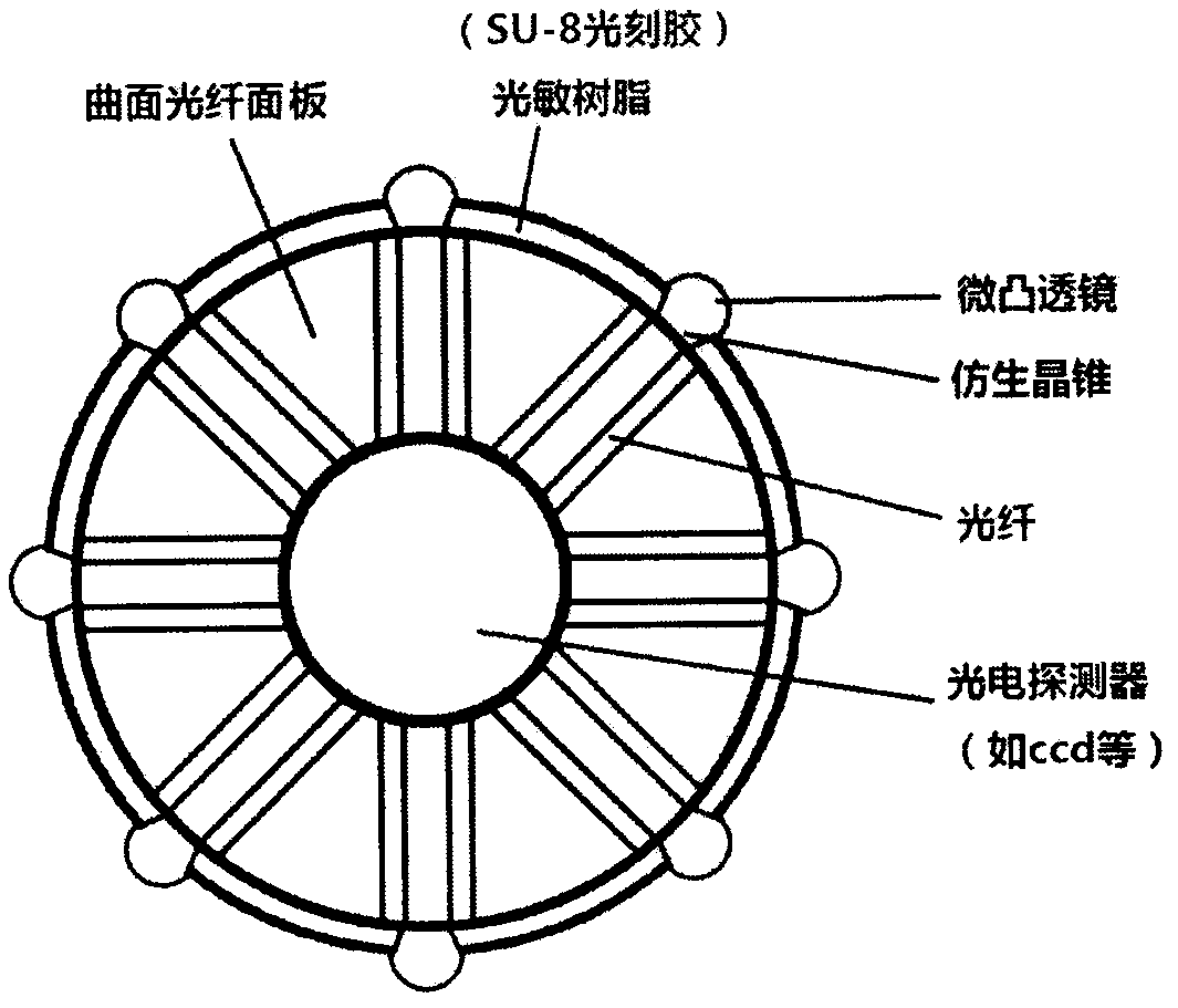 360-DEG large visual field integrated bionic compound eye