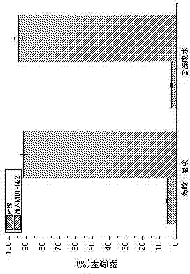 Application of citrobacter rodentium for circularly preparing biological flocculants by using waste algae