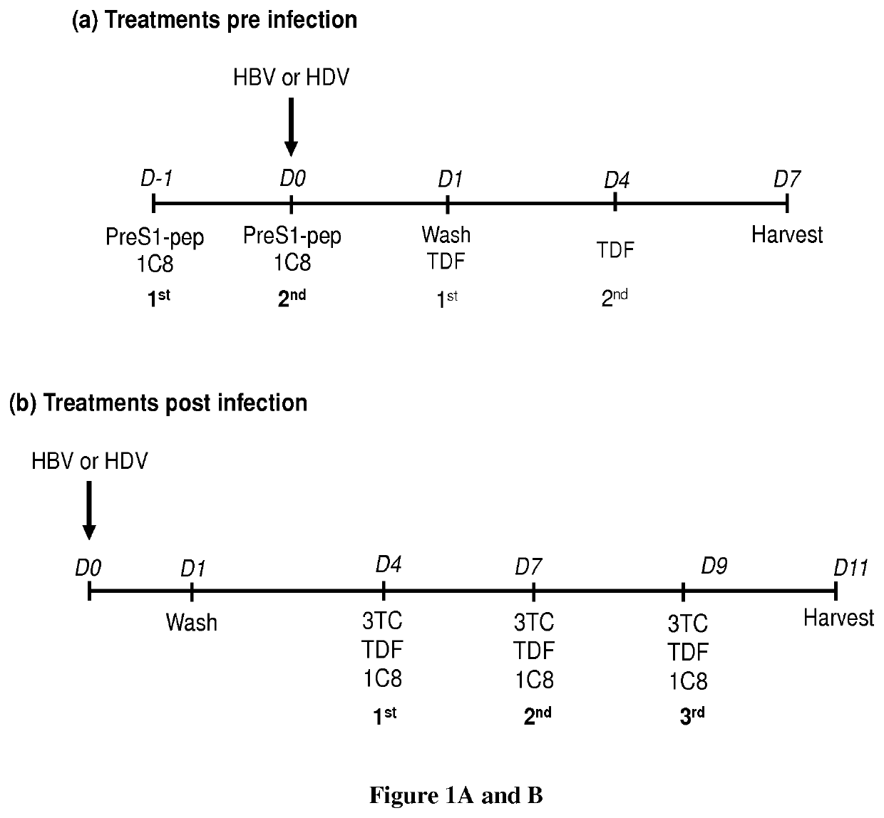 Methods for treating hepatitis b virus (HBV) infection