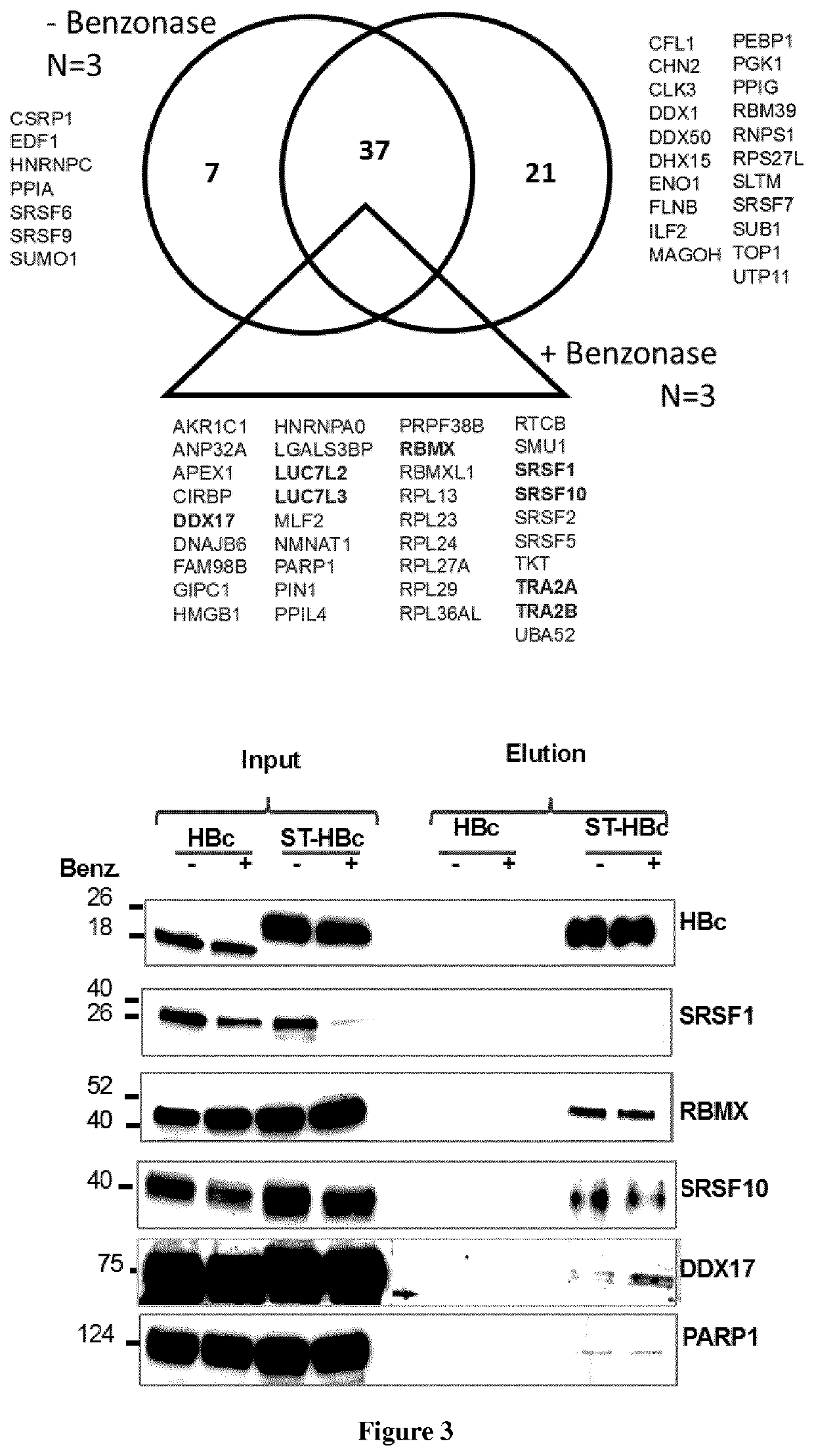 Methods for treating hepatitis b virus (HBV) infection