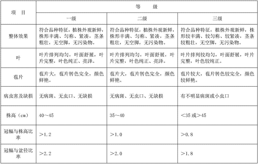 Poinsettia plant type control method