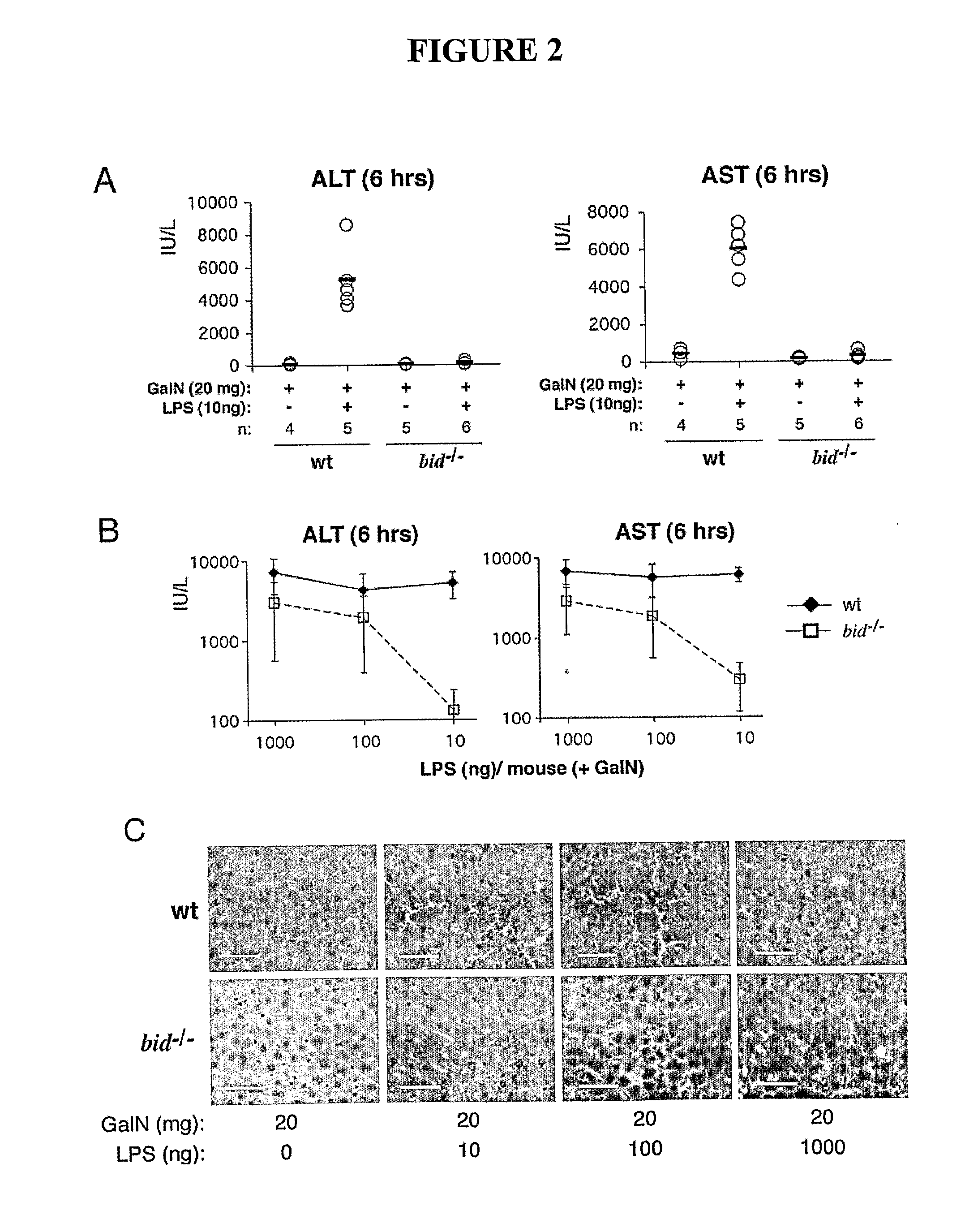  method of treatment and agents useful for same