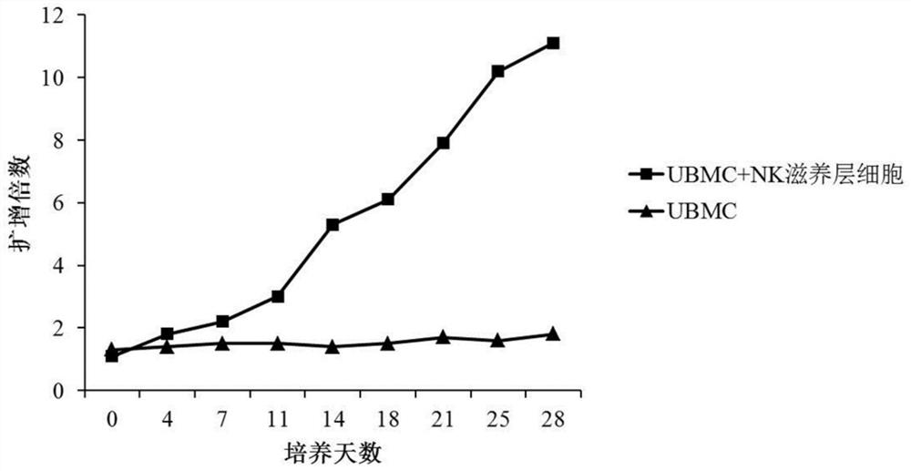 NK (Natural Killer) trophoblast cell for expressing cytokine composition as well as preparation method and application of NK trophoblast cell