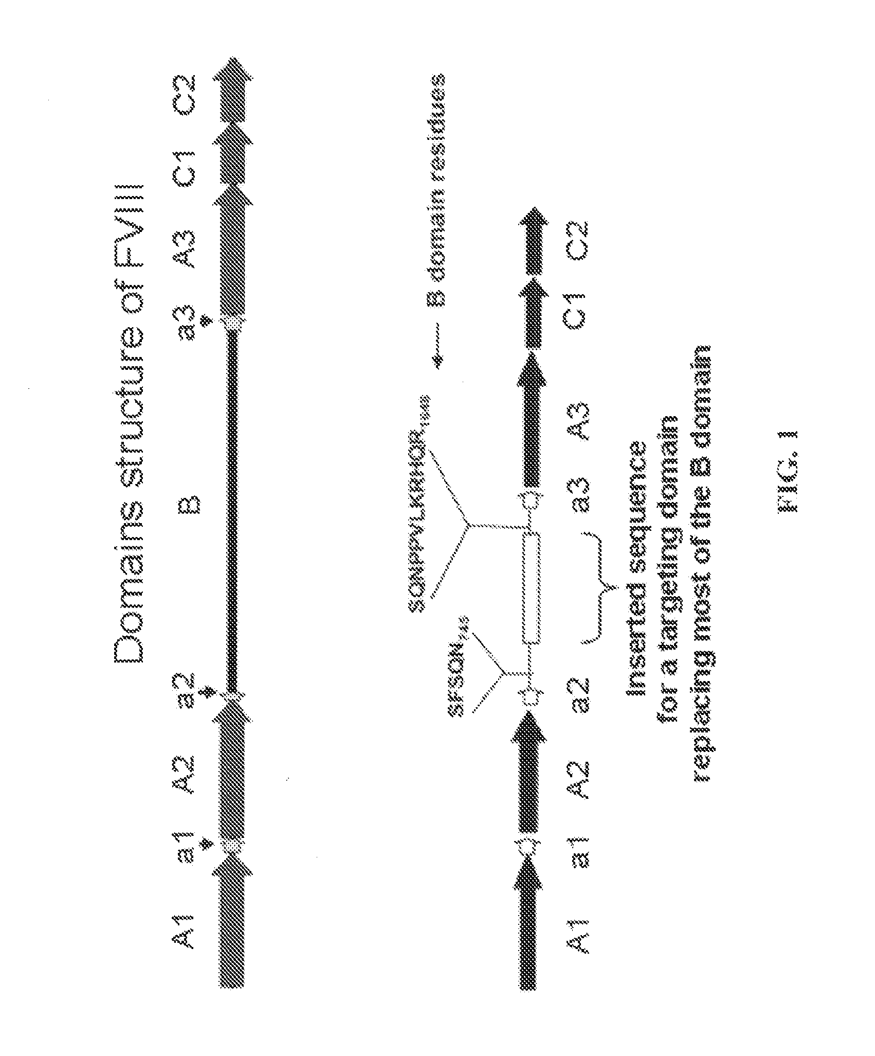 Targeted Coagulation Factors and Method of Using the Same