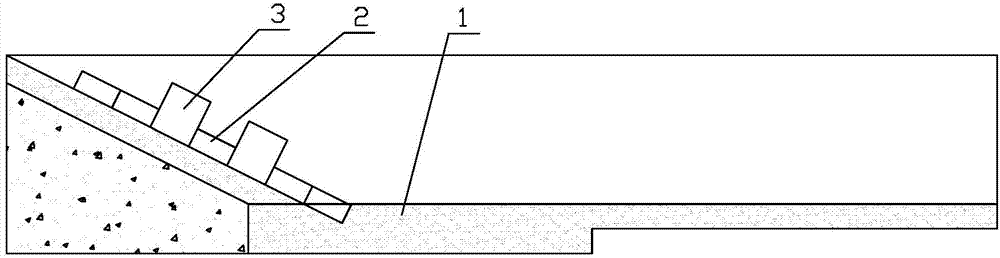 Ecological environmental protection type bank protection structure