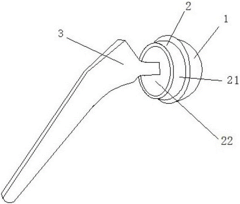 Composite bulb artificial hip joint