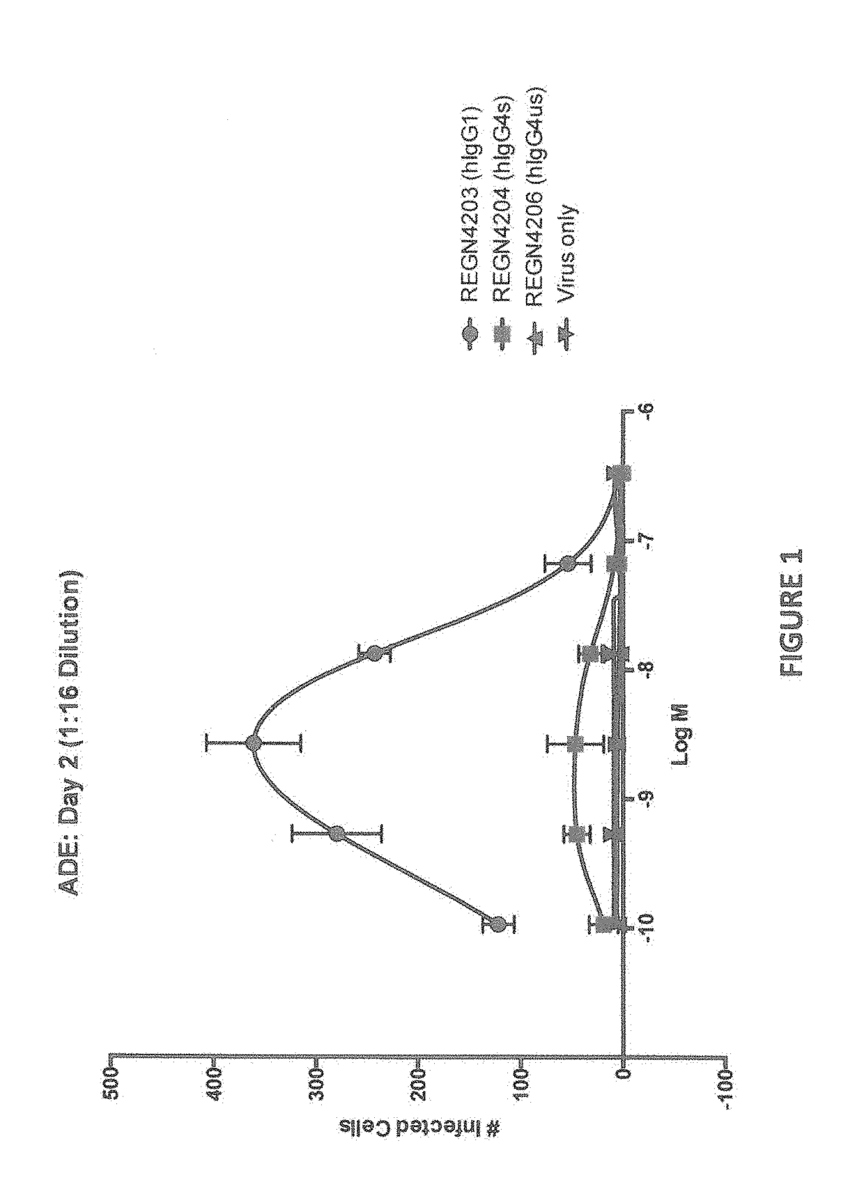 Anti-Zika Virus Antibodies and Methods of Use