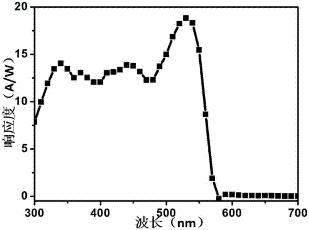 Full-inorganic perovskite Schottky photoelectric detector and preparation method thereof