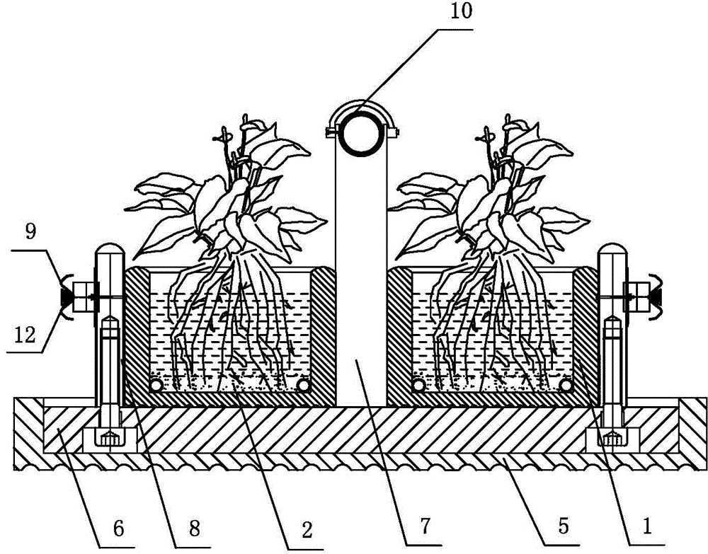 Movable type separating belt for hydroponic tank