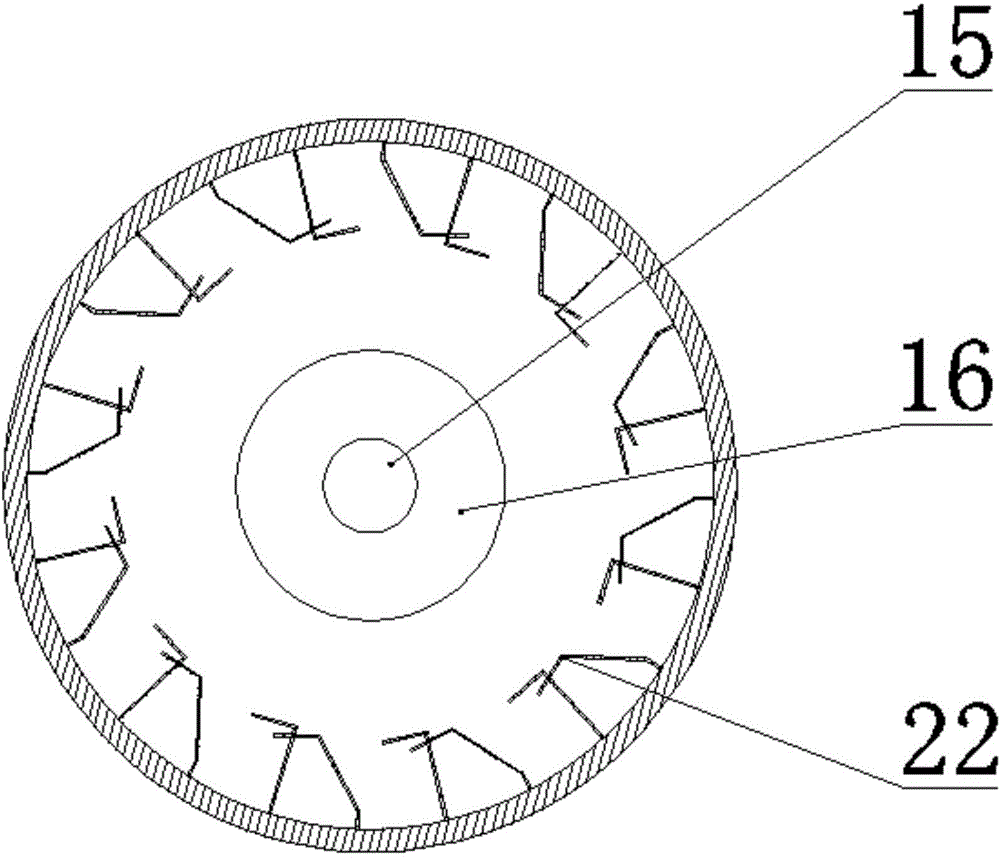 Continuous two-stage biomass nitrogen-rich pyrolytic reaction device