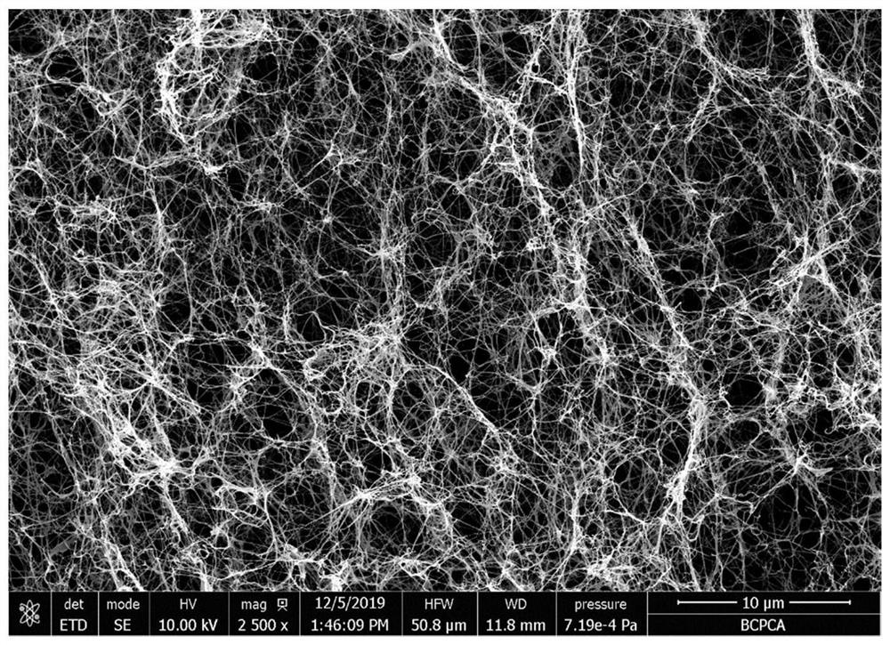 A kind of bacterial cellulose membrane and breast patch and preparation method thereof