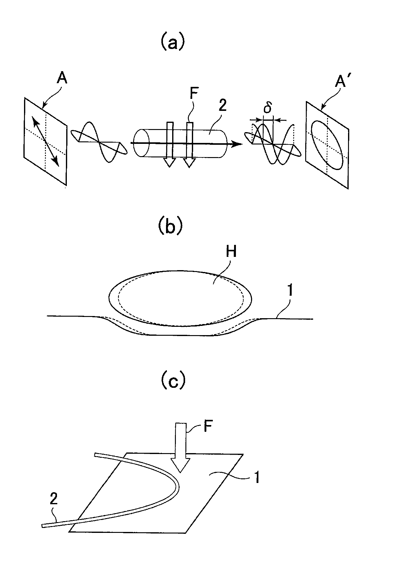 Method for monitoring living body activities, and optical fiber type flat shaped body sensor, garment styled optical fiber type flat shaped body sensor and human body fitted optical fiber type flat shaped body sensor used for the same