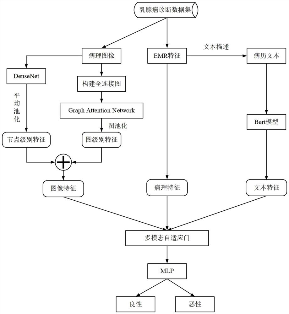 Multi-modal breast cancer classification training method and system based on graph attention network