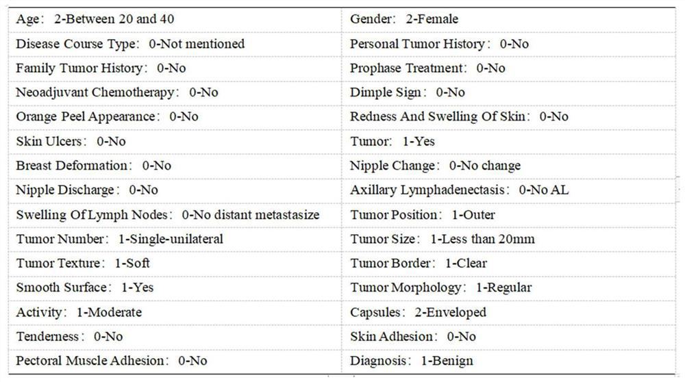 Multi-modal breast cancer classification training method and system based on graph attention network