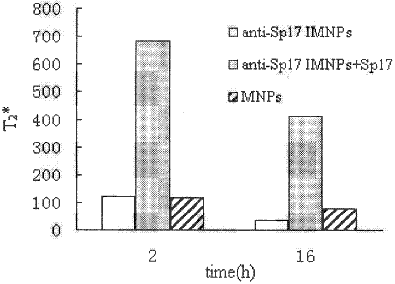 In vivo tumor imaging target molecule and specific probe thereof