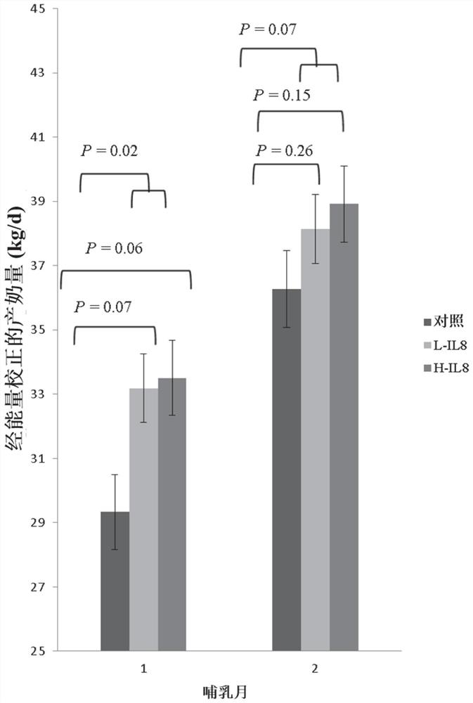 Compositions and methods of using il-8 to increase milk production and improve reproductive health and inhibit hyperketosis in mammals