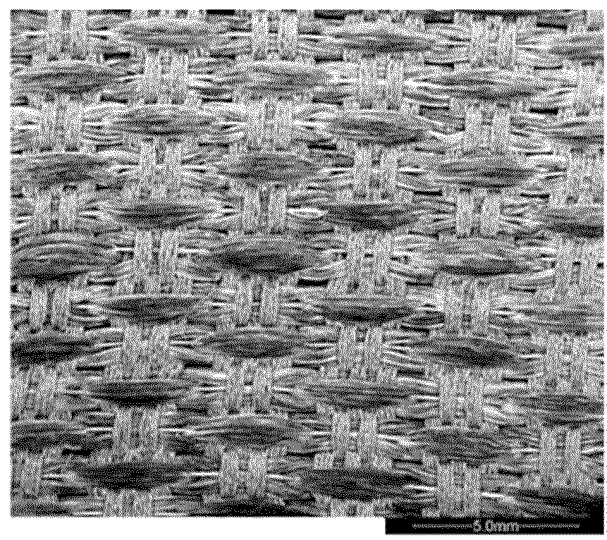 Electrodic apparatus for the electrodeposition of non-ferrous metals