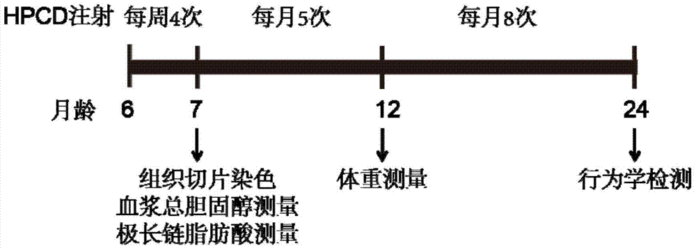 Application of 2-hydroxypropyl-β-cyclodextrin in preparation of medicine for treating X-linked adrenoleukodystrophy