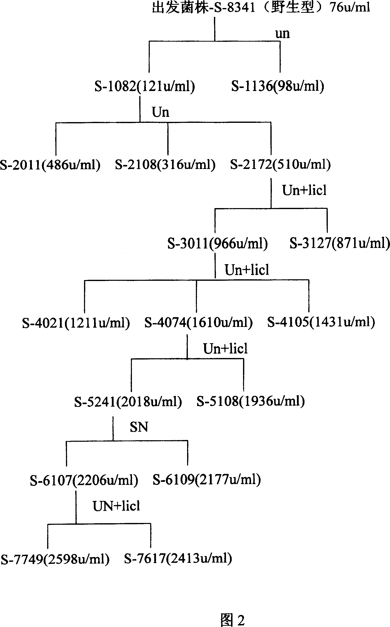 Aspergillus niger lipase and its preparation method