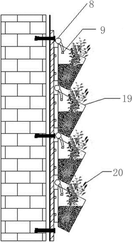 Water and fertilizer automatic irrigation greening wall