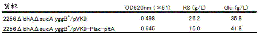 Method for manufacturing L-amino acid