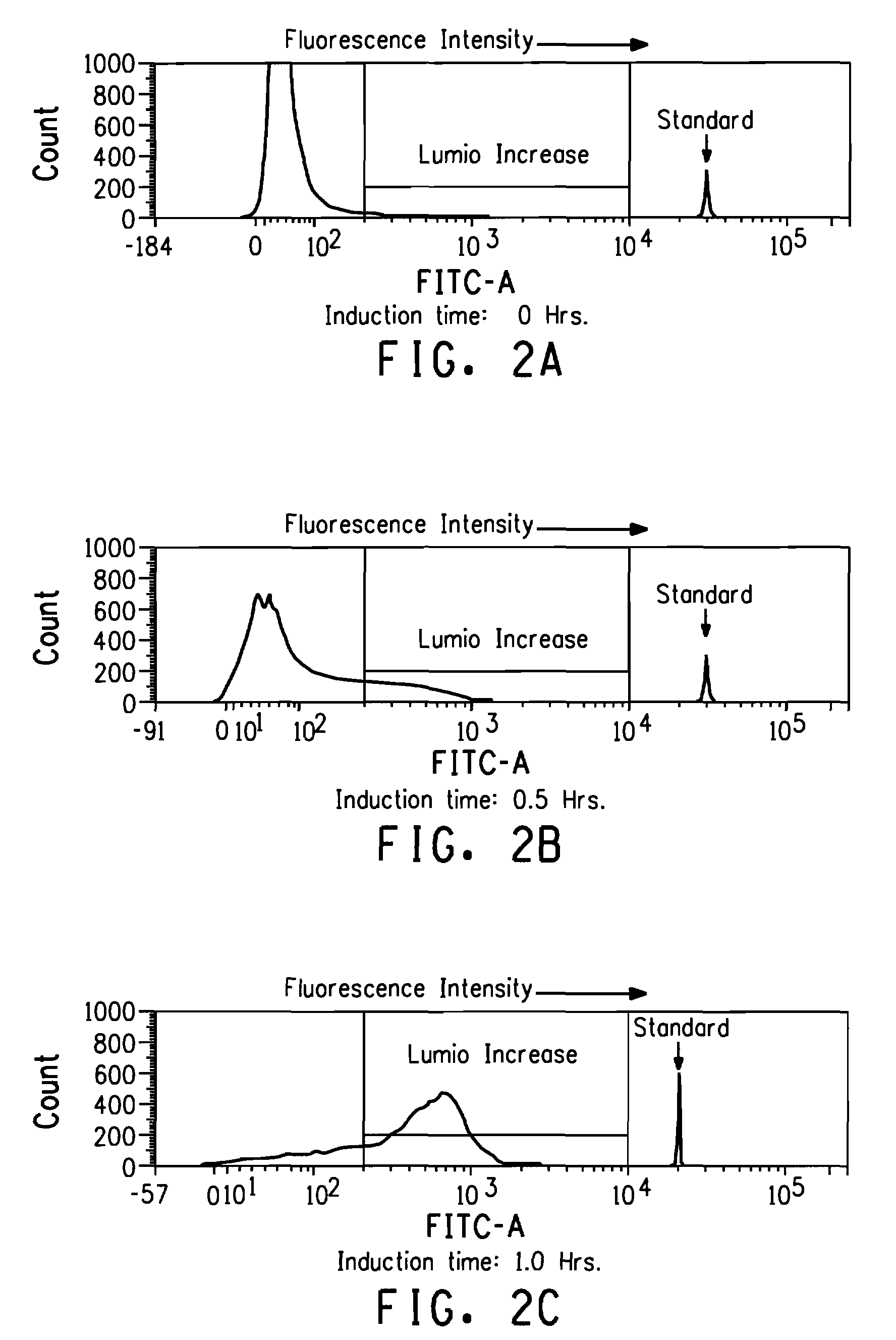 Use of tetracysteine tags in fluorescence-activated cell sorting analysis of prokaryotic cells producing peptides or proteins