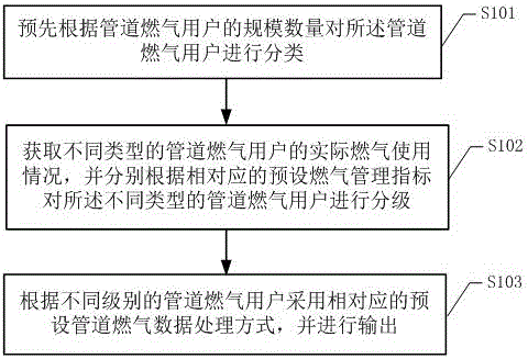 Pipeline gas data processing method and pipeline gas data processing system based on user grade