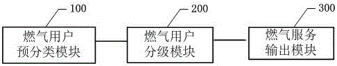 Pipeline gas data processing method and pipeline gas data processing system based on user grade