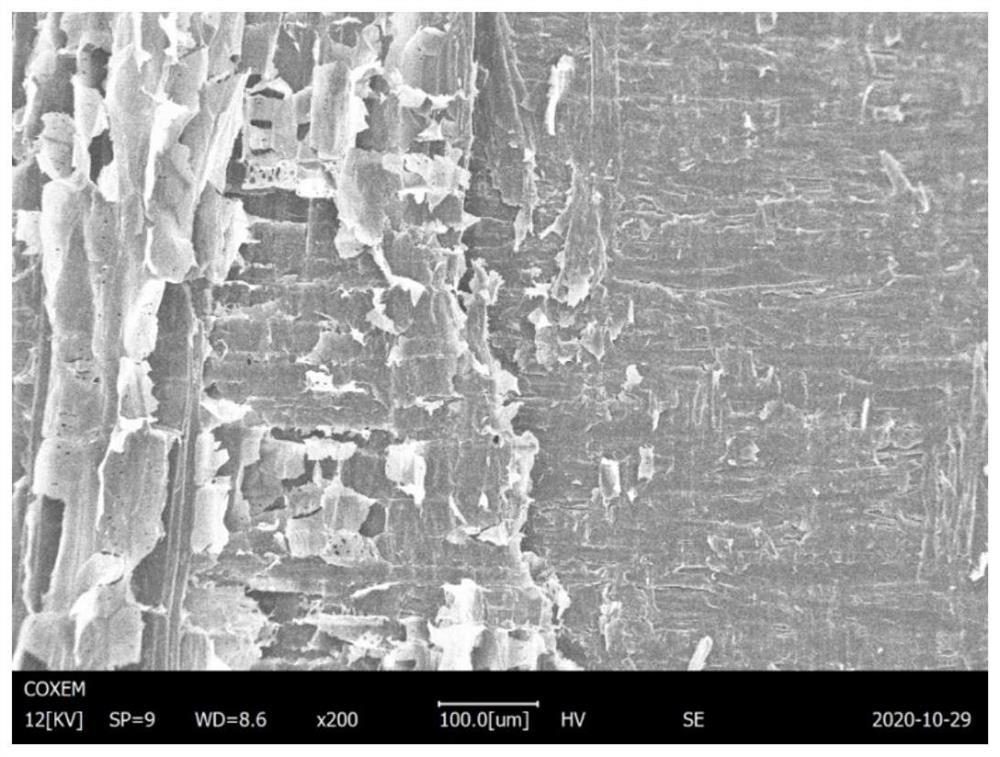 Glue-free reconstituted veneer and preparing method thereof