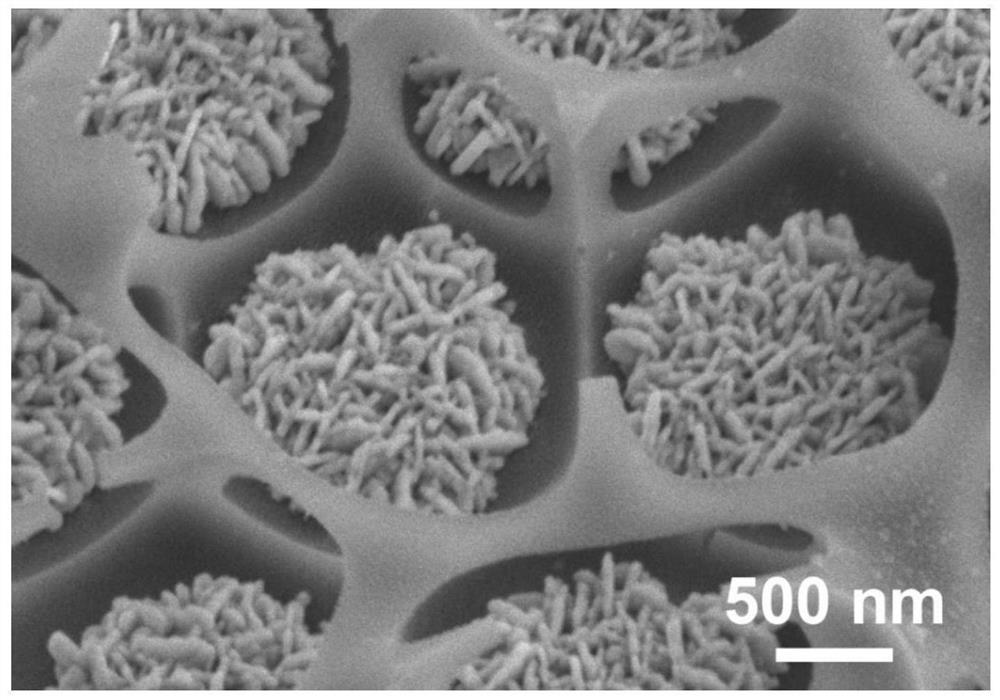 Silver nanosheet cluster array and preparation method and application thereof