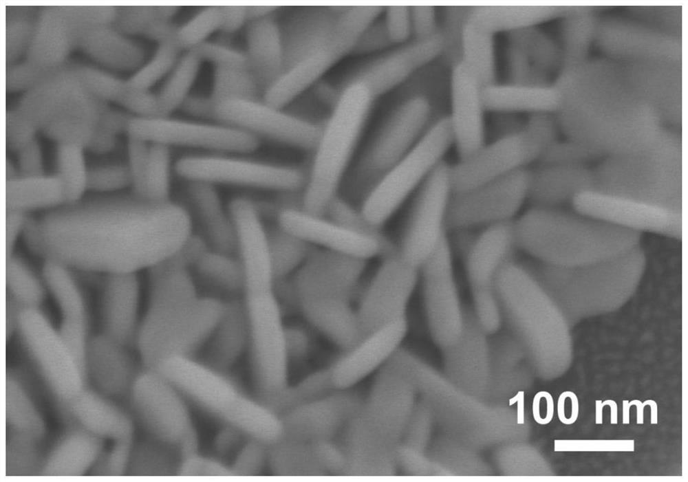 Silver nanosheet cluster array and preparation method and application thereof