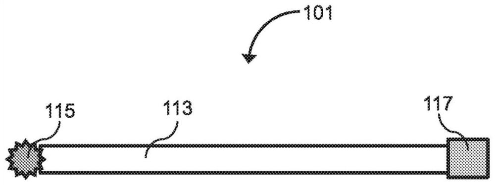 Cellular compositions derived from deceased donors to promote graft tolerance and manufacture and uses thereof