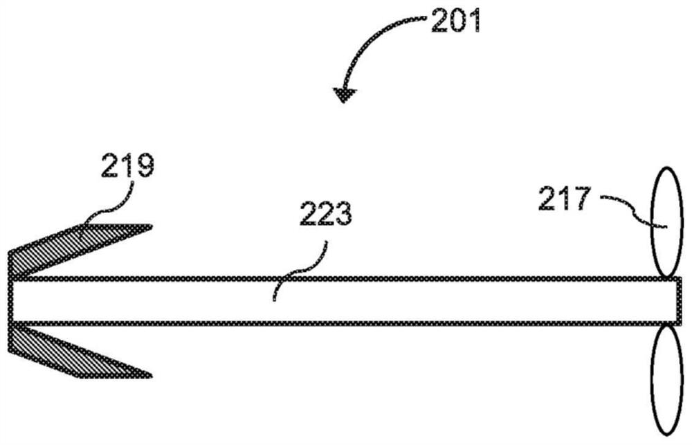 Cellular compositions derived from deceased donors to promote graft tolerance and manufacture and uses thereof