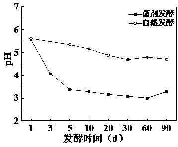 Method for preparing dried turnip by using composite bacterial agent