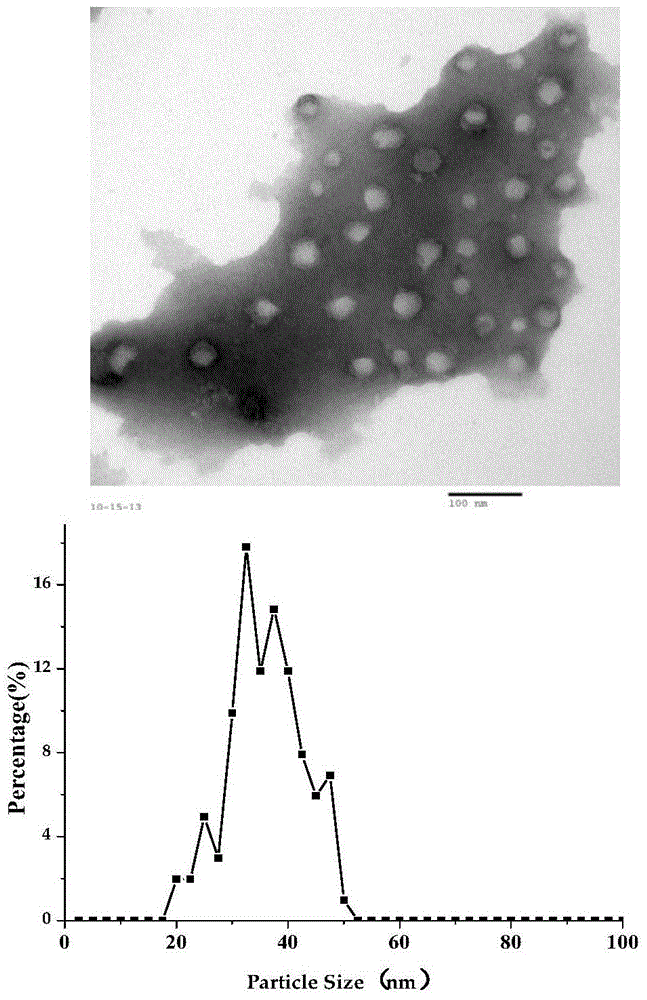 Preparation and application of targeted mitochondrion nano particles on the basis of composite porcelain body