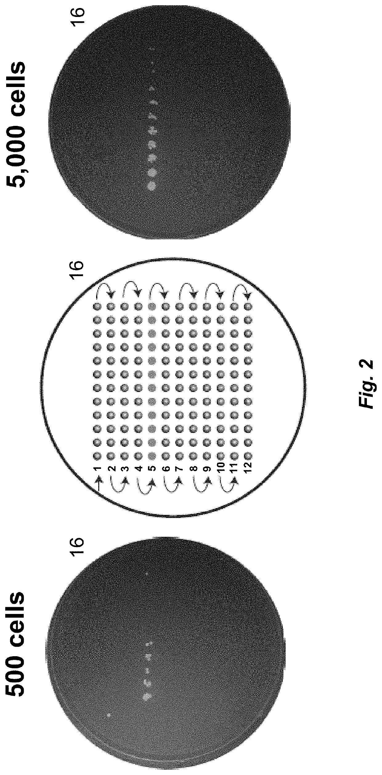 Systems and method for electrophoretic fractionation of the microbiome