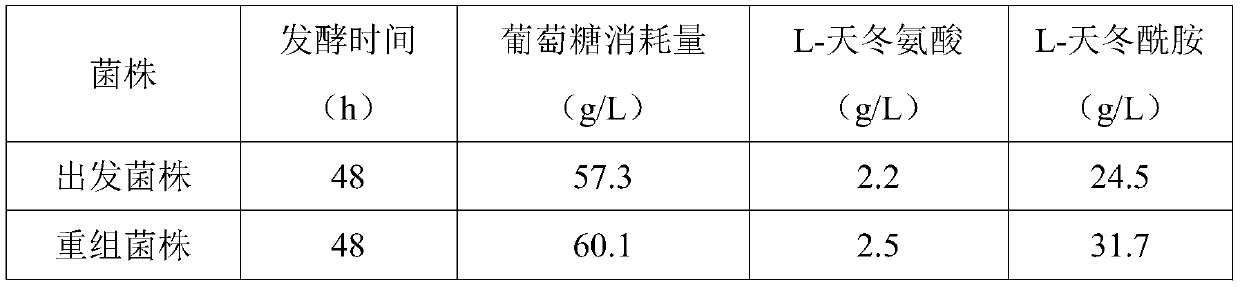 Genetically engineered bacterium synthesizing L-asparaginate and construction method and application thereof