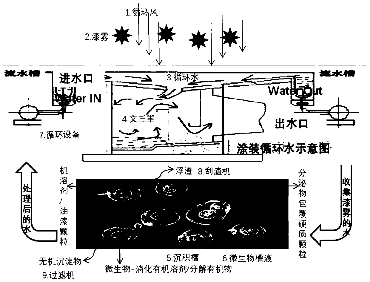 Coating paint mist treatment method