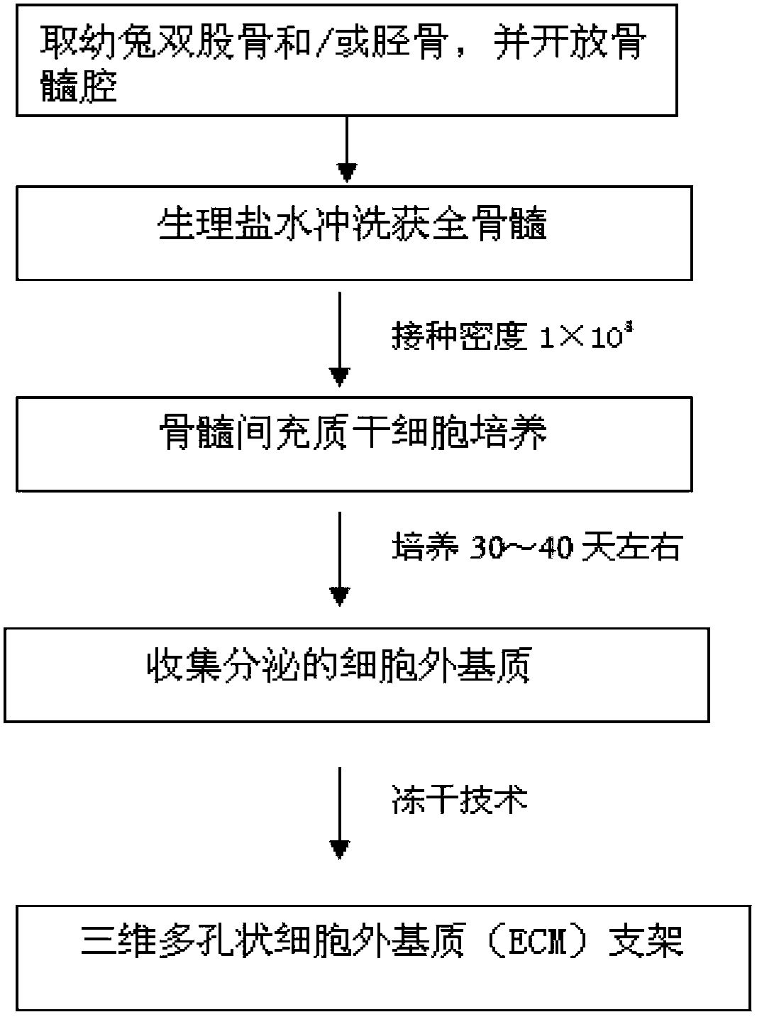 Extracellular matrix support material and preparation method thereof