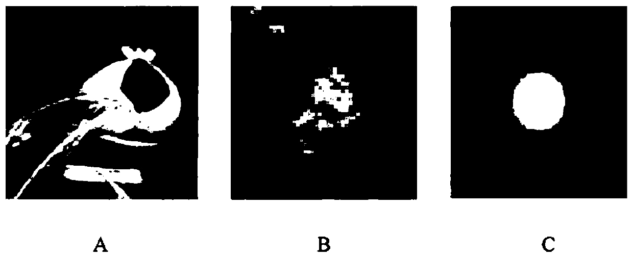 Multi-scene target tracking method based on adaptive depth feature filter