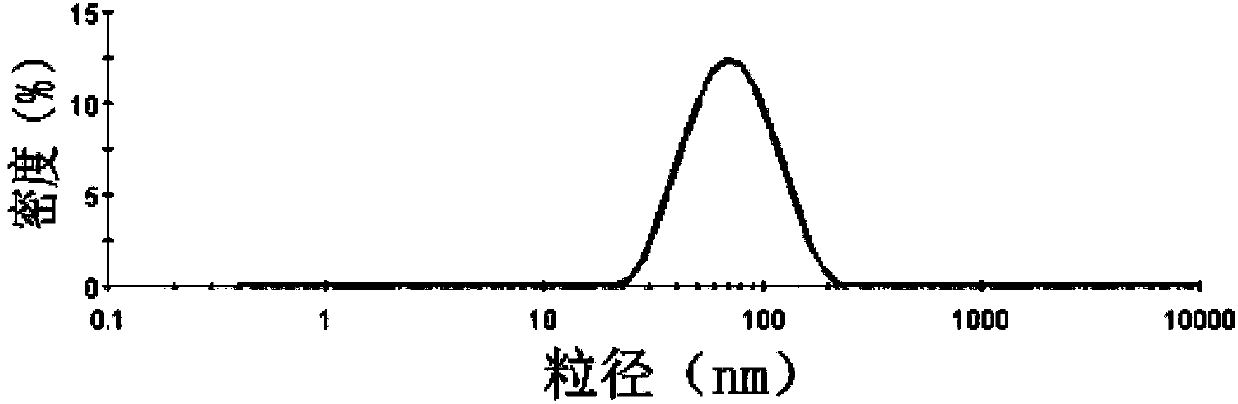 Irinotecan hydrochloride composition and preparation method thereof