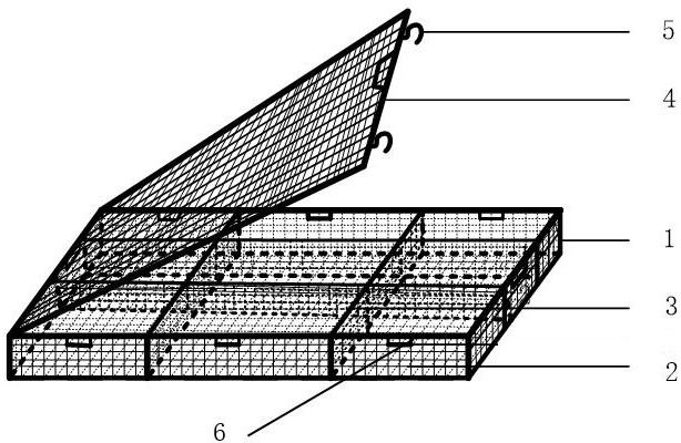 Fattening method and device for crassostrea gigas cultured in north