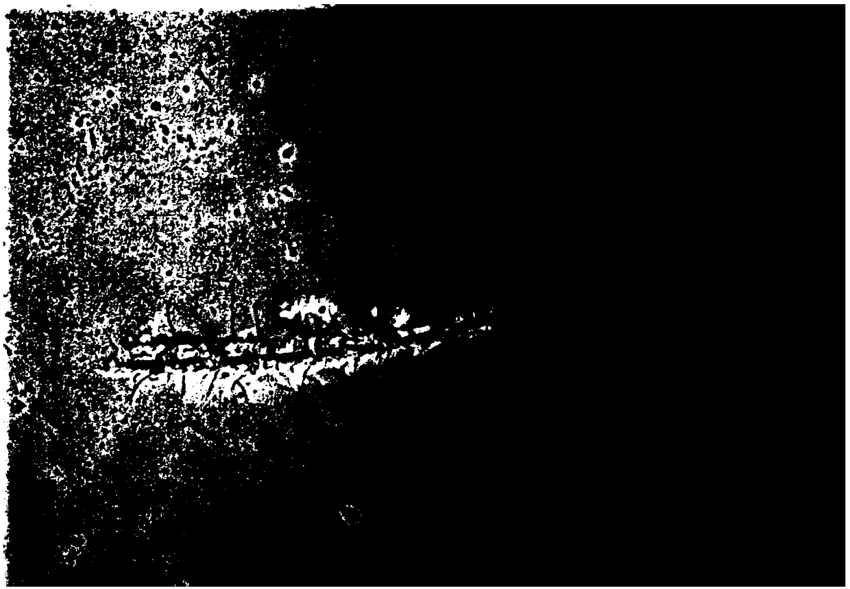 Moissanite ornament and method for coating diamond film on surface of moissanite ornament