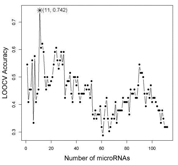 Plasma miRNA (micro Ribonucleic Acid) profile and assay kit for predicting curative effect of interferon on treatment of chronic hepatitis B