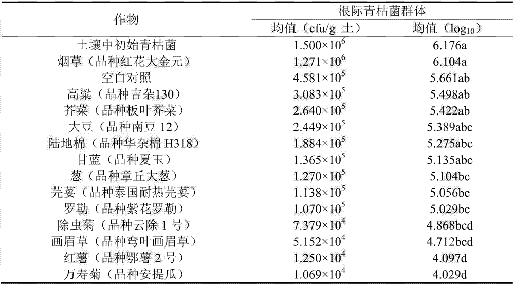 Crop rotation method for reducing disease incidence rate of tobacco bacterial wilt