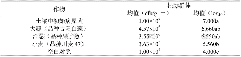 Crop rotation method for reducing disease incidence rate of tobacco bacterial wilt