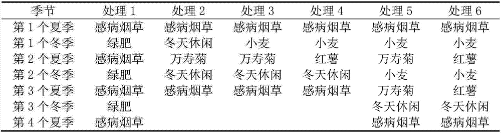 Crop rotation method for reducing disease incidence rate of tobacco bacterial wilt